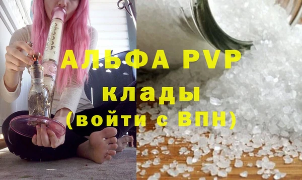 хмурый Богданович