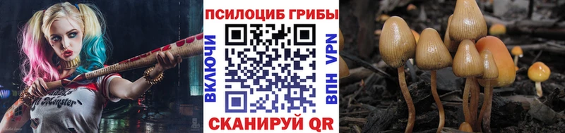 Псилоцибиновые грибы ЛСД  kraken ССЫЛКА  Светлый 